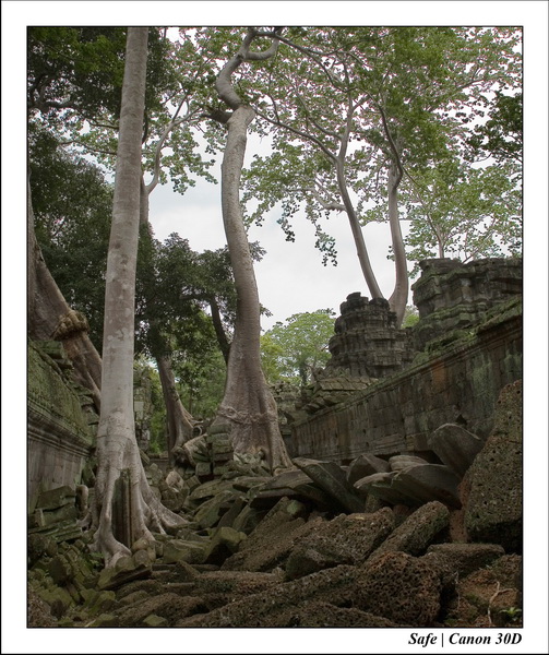2006 - 07 - Temple angkor - Ta Prohm 26